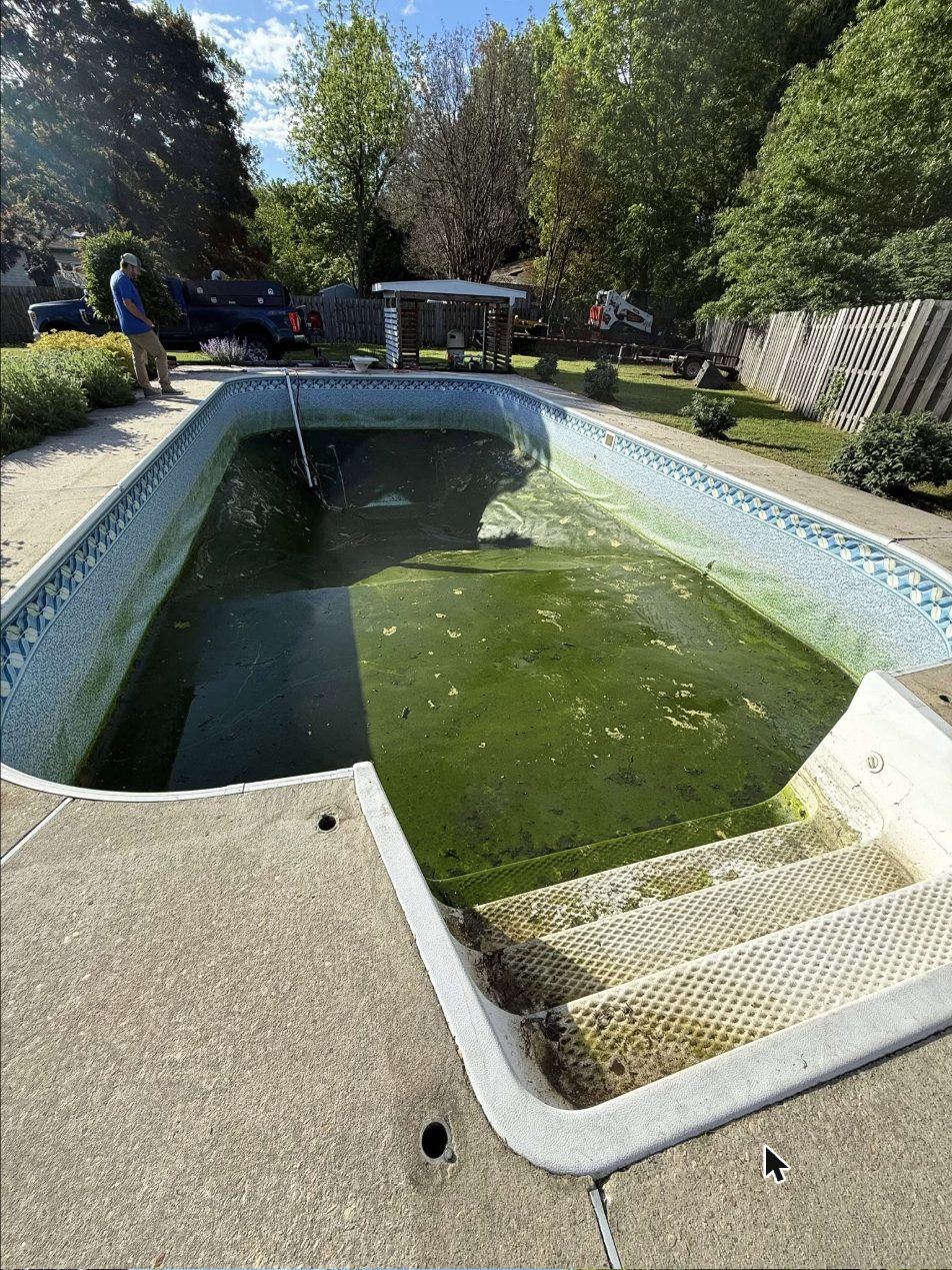 Pool before opening service, showing algae before cleanup